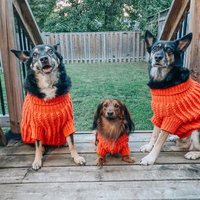 Show full view: Sassy Woof Cable Knit Dog Sweater, Orange, X-Large slide 6 of 9