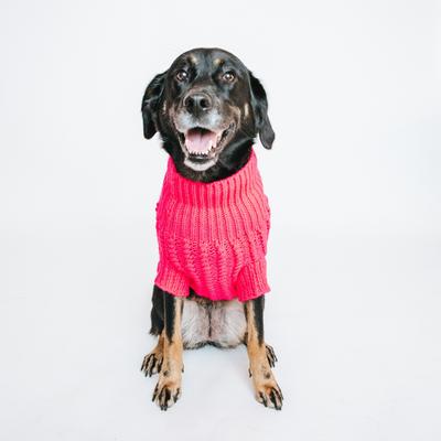 Show full view: Sassy Woof Cable Knit Dog Sweater, Hot Pink, XX-Large slide 7 of 8