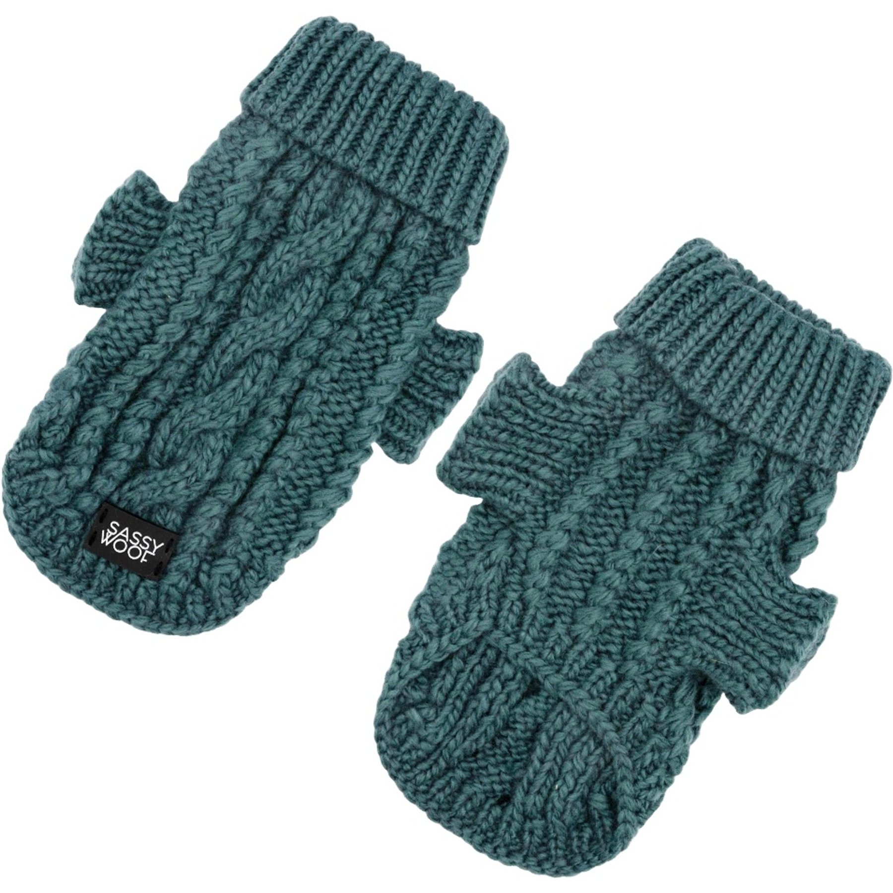 Sassy Woof Cable Knit Dog & Cat Sweater, Teal, Large