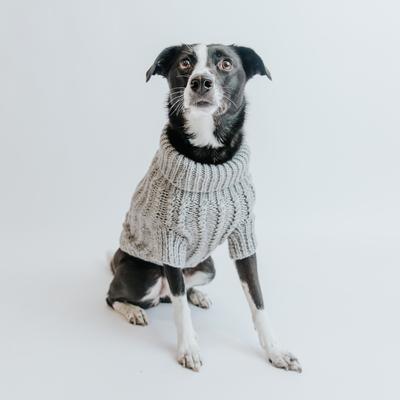 Show full view: Sassy Woof Cable Knit Dog Sweater, Gray, Medium slide 7 of 8