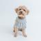 Show in main carousel: Sassy Woof Cable Knit Dog Sweater, Gray, Medium slide 6 of 8