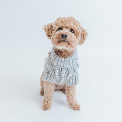 Show full view: Sassy Woof Cable Knit Dog Sweater, Gray, Medium slide 6 of 8