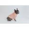 Show in main carousel: Sassy Woof Cable Knit Dog Sweater, Pink, Small slide 6 of 9
