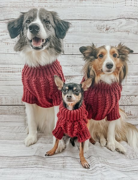 Show full view: Sassy Woof Cable Knit Dog Sweater, Red, X-Large slide 8 of 8