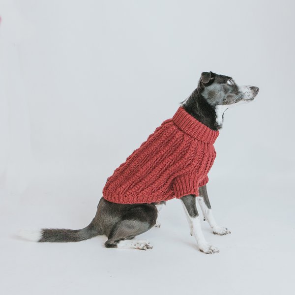 Show full view: Sassy Woof Cable Knit Dog Sweater, Red, X-Large slide 7 of 8