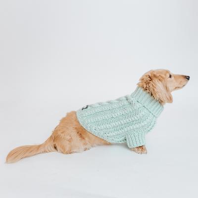 Show full view: Sassy Woof Cable Knit Dog Sweater, Mint, XX-Large slide 7 of 9