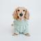 Show in main carousel: Sassy Woof Cable Knit Dog Sweater, Mint, XX-Large slide 6 of 9