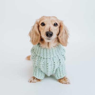 Show full view: Sassy Woof Cable Knit Dog Sweater, Mint, XX-Large slide 6 of 9