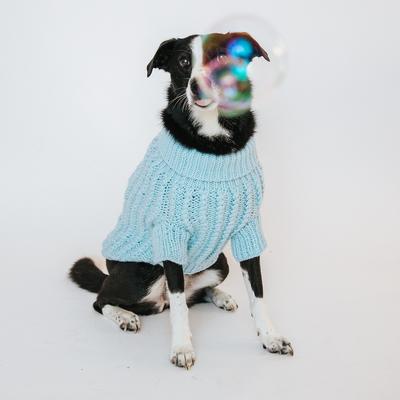 Show full view: Sassy Woof Cable Knit Dog Sweater, Light Blue, Large slide 7 of 9