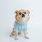 Show in main carousel: Sassy Woof Cable Knit Dog Sweater, Light Blue, Large slide 6 of 9