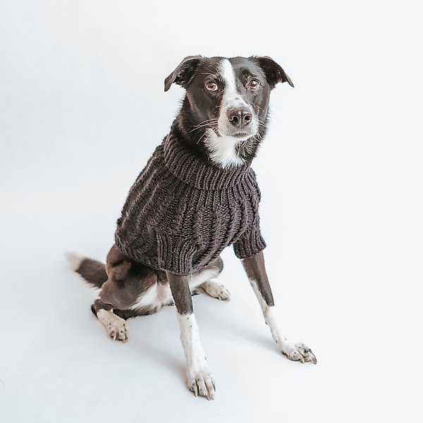 Show full view: Sassy Woof Cable Knit Dog Sweater, Black, XX-Large slide 8 of 8