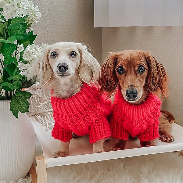 Show full view: Sassy Woof Cable Knit Dog Sweater, Hot Pink, XX-Large slide 6 of 7