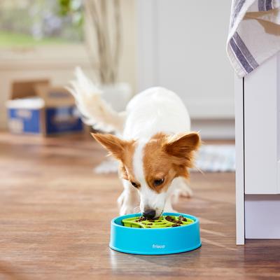 Show full view: Frisco Interactive Non -skid Plastic Slow Feeder Dog bowl, Blue/Green, 2 cup slide 7 of 9