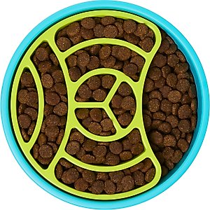 Frisco Interactive Non -skid Plastic Slow Feeder Dog bowl, Blue/Green, 2 cup