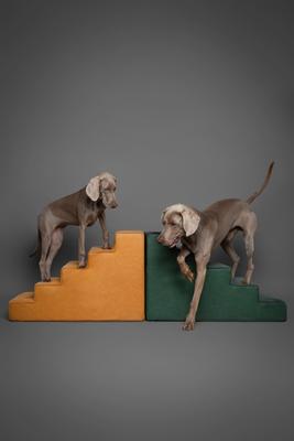 Noah & Paw 5 Step Leather Dog Stairs
