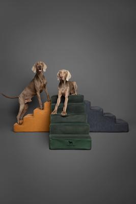 Noah & Paw 5 Step Leather Dog Stairs