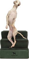 Noah & Paw Machine Washable Faux Leather 3 Step Dog Stairs, Dark Green