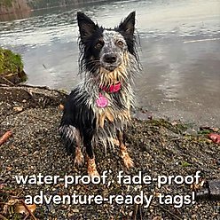 Besties Mini Hole in One Golf Jingle-Free Silicone Dog ID Tag, Flamingo Pink slide 2 of 9