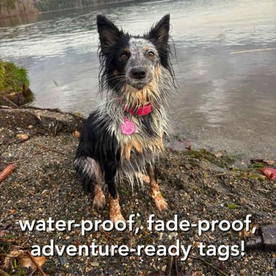 Show full view: Besties Mini Nothin’ But Net Basketball Jingle-Free Silicone Dog ID Tag, Sky Blue slide 9 of 11