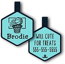 Besties Nothin’ But Net Basketball Jingle-Free Silicone Dog ID Tag, Sky Blue