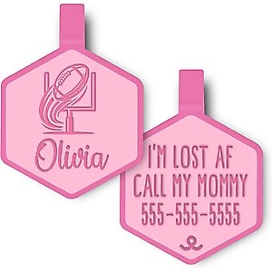 Besties Touchdown Football Jingle-Free Silicone Dog ID Tag, Flamingo Pink