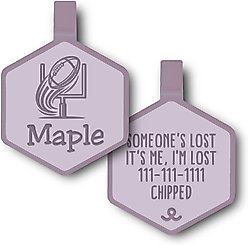 Besties Touchdown Football Jingle-Free Silicone Dog ID Tag, Heather Purple
