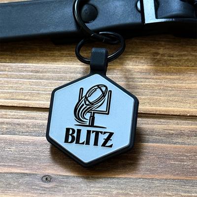 Show full view: Besties Mini Touchdown Football Jingle-Free Silicone Dog ID Tag, Sky Blue slide 4 of 11