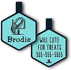 Besties Touchdown Football Jingle-Free Silicone Dog ID Tag, Sky Blue