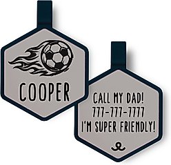 Besties Soccer Star Jingle-Free Silicone Dog ID Tag, Grey