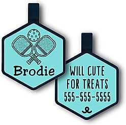 Besties Mini Paddle Battle Pickleball Jingle-Free Silicone Dog ID Tag, Sky Blue