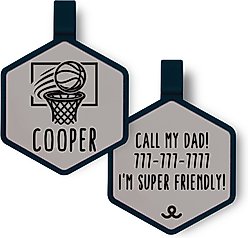 Besties Mini Nothin’ But Net Basketball Jingle-Free Silicone Dog ID Tag, Grey