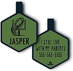 Besties Touchdown Football Jingle-Free Silicone Dog ID Tag, Sage