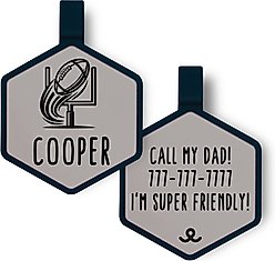 Besties Touchdown Football Jingle-Free Silicone Dog ID Tag, Grey