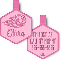 Besties Soccer Star Jingle-Free Silicone Dog ID Tag, Flamingo Pink