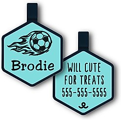Besties Mini Soccer Star Jingle-Free Silicone Dog ID Tag, Sky Blue