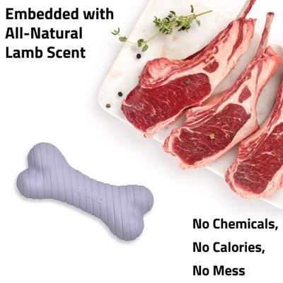Show full view: Playology Lamb Scented Dual Layer Bone Dog Toy, Jumbo, 1 count slide 4 of 6