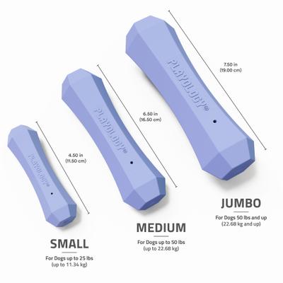 Show full view: Playology Blueberry Scented Squeaky Chew Stick Dog Toy, Jumbo slide 5 of 6