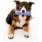 Show in main carousel: Playology Blueberry Scented Squeaky Chew Stick Dog Toy, Jumbo slide 3 of 6