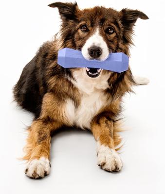 Show full view: Playology Blueberry Scented Squeaky Chew Stick Dog Toy, Jumbo slide 3 of 6