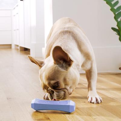 Show full view: Playology Blueberry Scented Squeaky Chew Stick Dog Toy, Medium slide 3 of 6