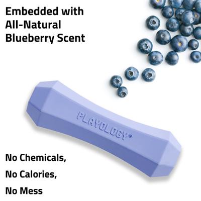 Show full view: Playology Blueberry Scented Squeaky Chew Stick Dog Toy, Medium slide 4 of 6
