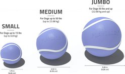 Playology Blueberry Scented Squeaky Chew Ball Dog Toy, Jumbo slide 2 of 6