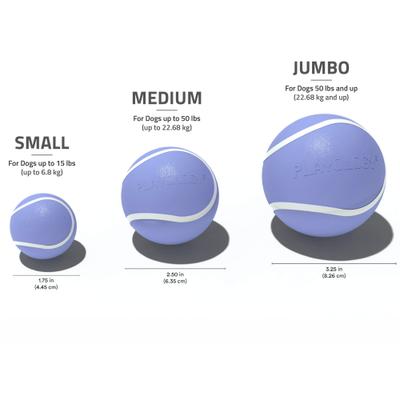 Show full view: Playology Blueberry Scented Squeaky Chew Ball Dog Toy, Medium slide 5 of 6