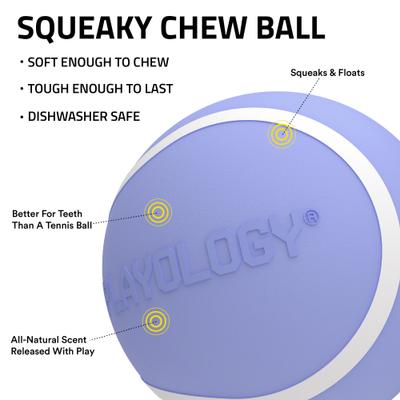 Show full view: Playology Blueberry Scented Squeaky Chew Ball Dog Toy, Medium slide 2 of 6