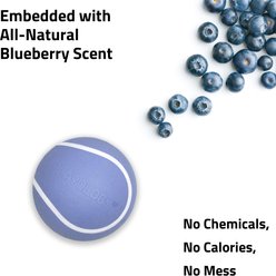 Playology Blueberry Scented Squeaky Chew Ball Dog Toy, Medium slide 2 of 6