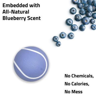 Show full view: Playology Blueberry Scented Squeaky Chew Ball Dog Toy, Medium slide 4 of 6