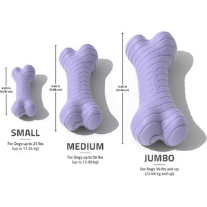 Playology Lamb Scented Dual Layer Bone Dog Toy, Jumbo