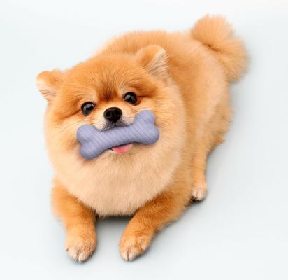 Show full view: Playology Lamb Scented Dual Layer Bone Dog Toy, Small, 2 count slide 3 of 6