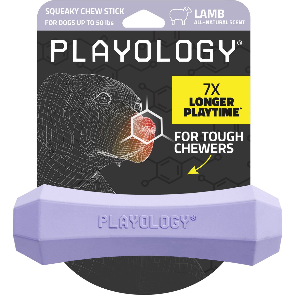 Playology Lamb Scented Squeaky Chew Stick Dog Toy, Medium