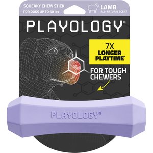 Playology Lamb Scented Squeaky Chew Stick Dog Toy, Medium